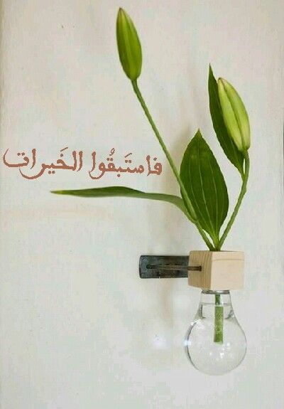 تقرير بالبرامج والأنشطة لشهر رمضان 1442هـ