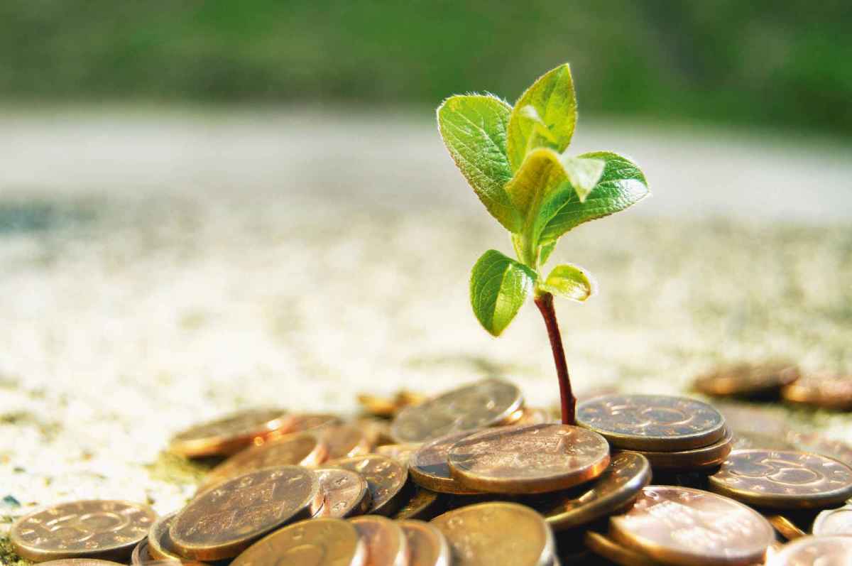 توزيع الإعانات النقدية